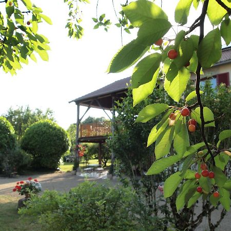 Les Jardins De Lily Hotel Saint-Léonard-de-Noblat Buitenkant foto