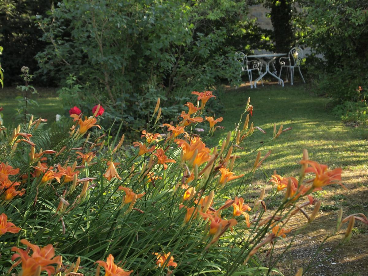 Les Jardins De Lily Hotel Saint-Léonard-de-Noblat Buitenkant foto