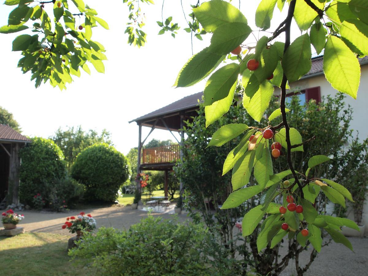 Les Jardins De Lily Hotel Saint-Léonard-de-Noblat Buitenkant foto