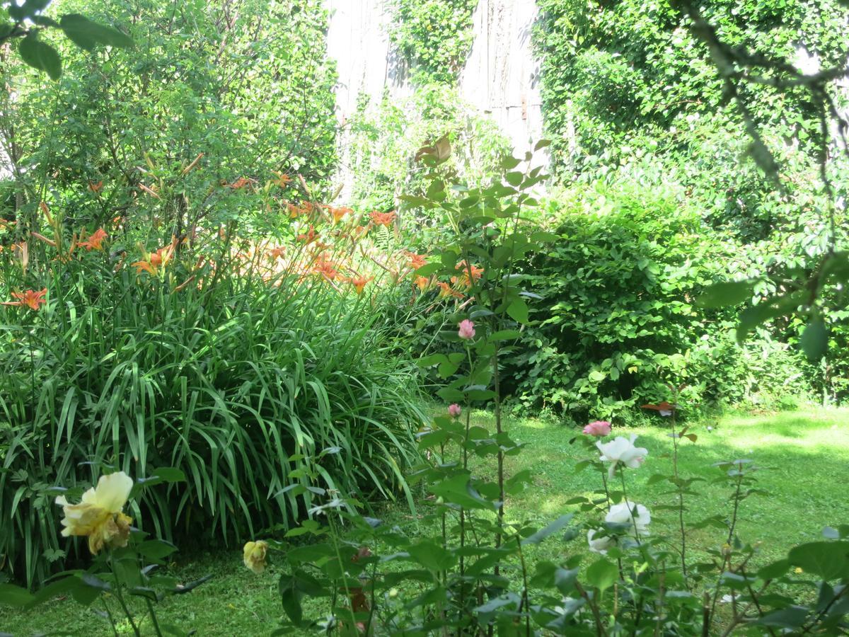 Les Jardins De Lily Hotel Saint-Léonard-de-Noblat Buitenkant foto