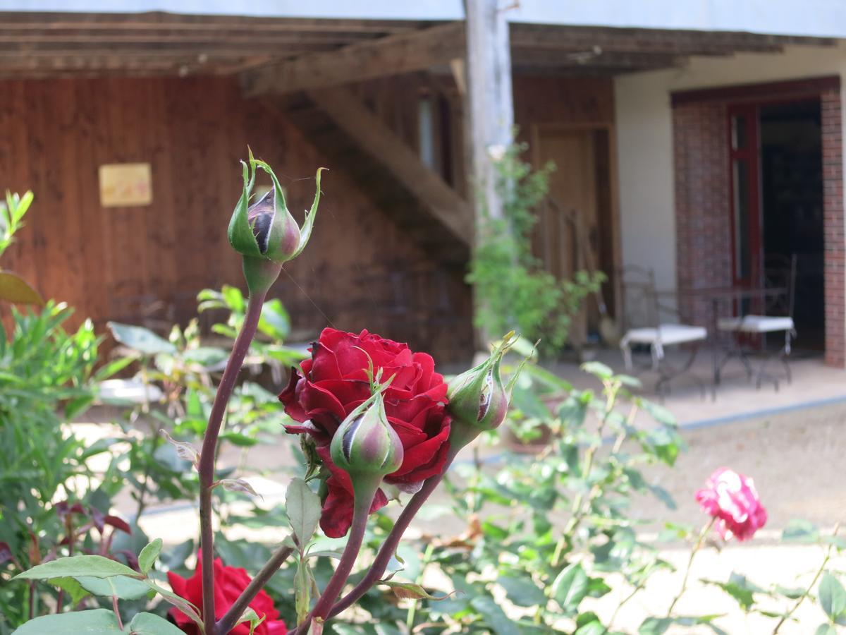 Les Jardins De Lily Hotel Saint-Léonard-de-Noblat Buitenkant foto